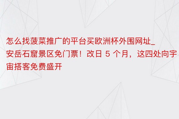 怎么找菠菜推广的平台买欧洲杯外围网址_安岳石窟景区免门票！改日 5 个月，这四处向宇宙搭客免费盛开