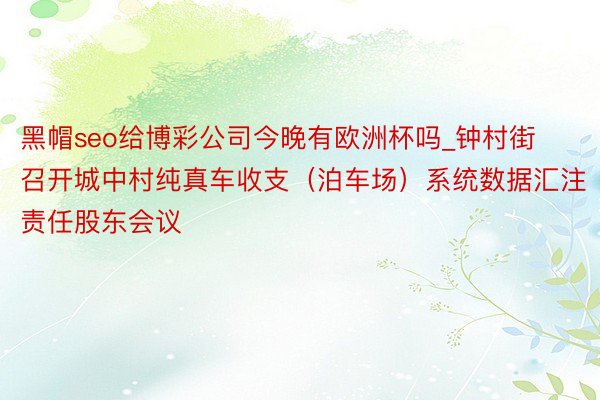 黑帽seo给博彩公司今晚有欧洲杯吗_钟村街召开城中村纯真车收支（泊车场）系统数据汇注责任股东会议